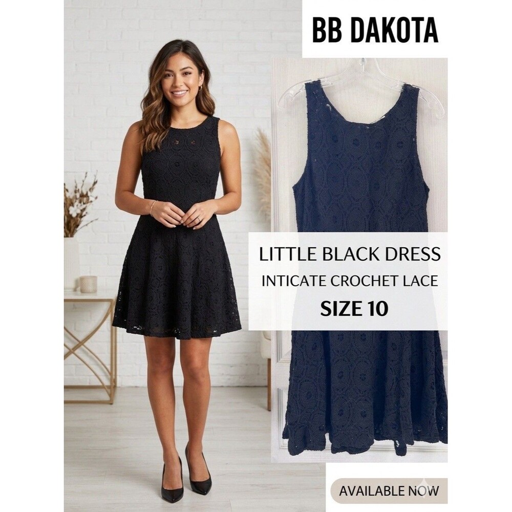 BB Dakota Black Lace Fit & Flare Dress Size 10 Sleeveless Crochet Skater LBD
